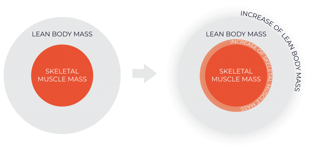 Lean Body Mass Vs Muscle Mass Victory Mens Health